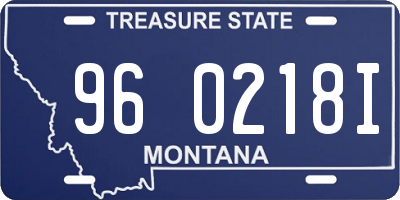 MT license plate 960218I