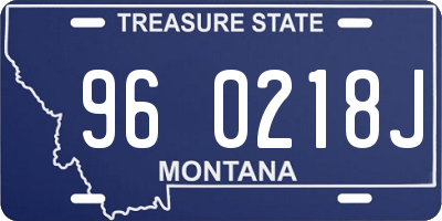 MT license plate 960218J