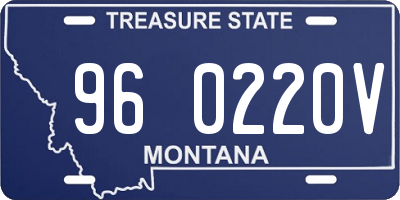 MT license plate 960220V