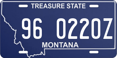 MT license plate 960220Z