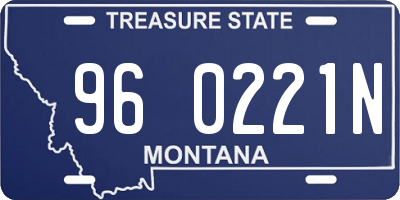 MT license plate 960221N