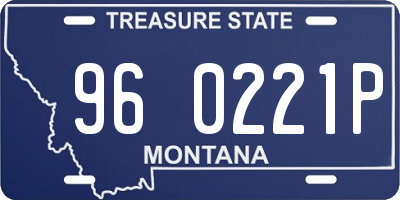 MT license plate 960221P