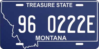 MT license plate 960222E