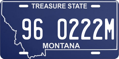 MT license plate 960222M