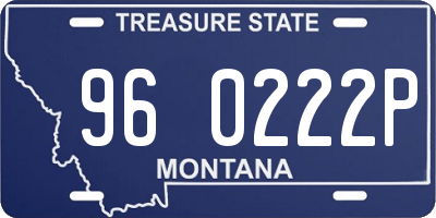 MT license plate 960222P