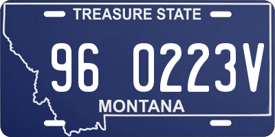 MT license plate 960223V