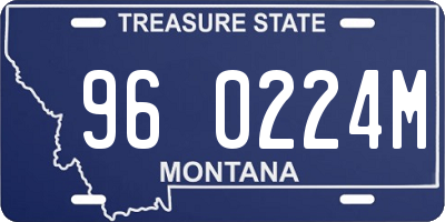 MT license plate 960224M