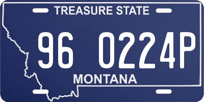 MT license plate 960224P
