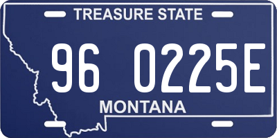 MT license plate 960225E