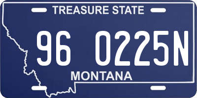 MT license plate 960225N