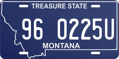 MT license plate 960225U