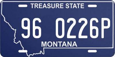 MT license plate 960226P