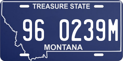 MT license plate 960239M