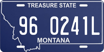 MT license plate 960241L