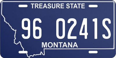 MT license plate 960241S