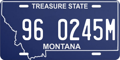 MT license plate 960245M