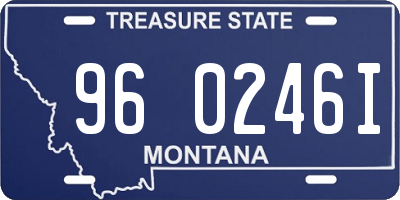 MT license plate 960246I