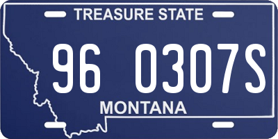 MT license plate 960307S