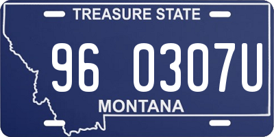 MT license plate 960307U