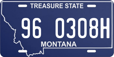 MT license plate 960308H