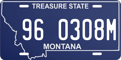 MT license plate 960308M