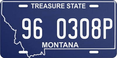 MT license plate 960308P