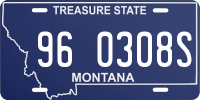 MT license plate 960308S