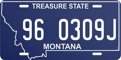 MT license plate 960309J