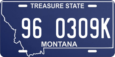 MT license plate 960309K