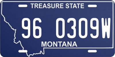 MT license plate 960309W