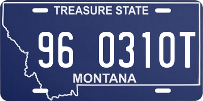 MT license plate 960310T