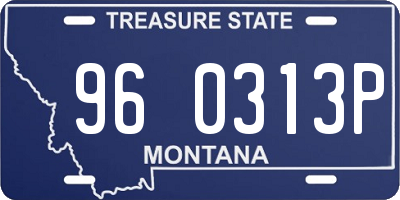 MT license plate 960313P