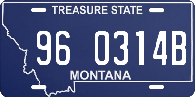 MT license plate 960314B
