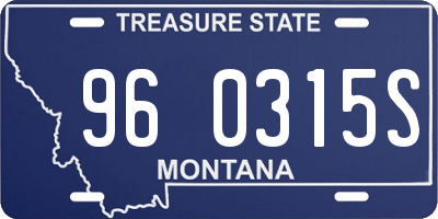 MT license plate 960315S