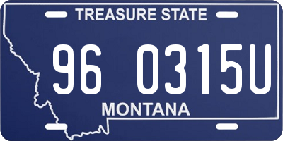 MT license plate 960315U