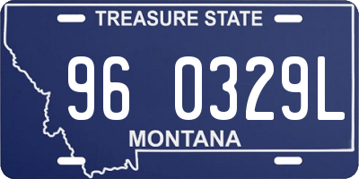 MT license plate 960329L
