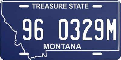 MT license plate 960329M