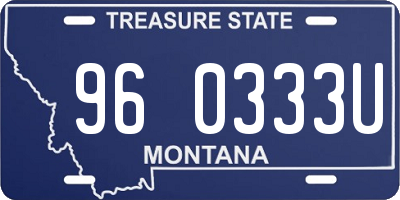 MT license plate 960333U