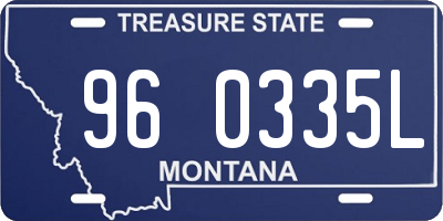 MT license plate 960335L