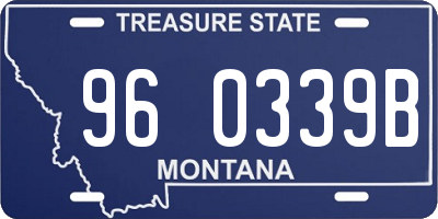 MT license plate 960339B