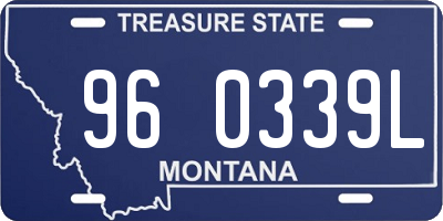 MT license plate 960339L