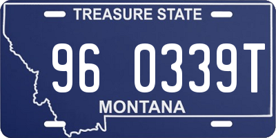 MT license plate 960339T