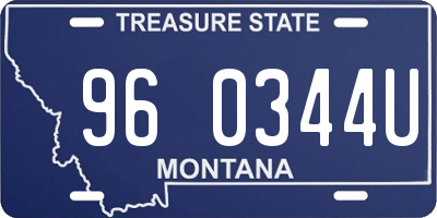 MT license plate 960344U