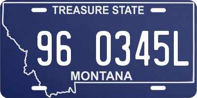 MT license plate 960345L