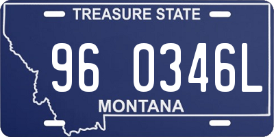 MT license plate 960346L