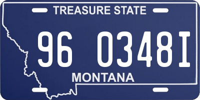 MT license plate 960348I