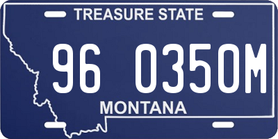 MT license plate 960350M