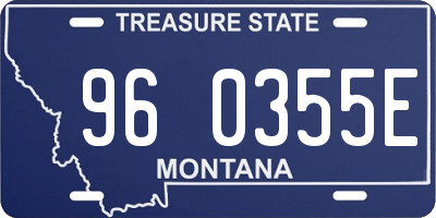 MT license plate 960355E