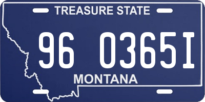 MT license plate 960365I