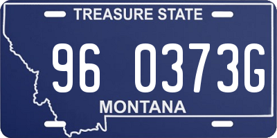 MT license plate 960373G